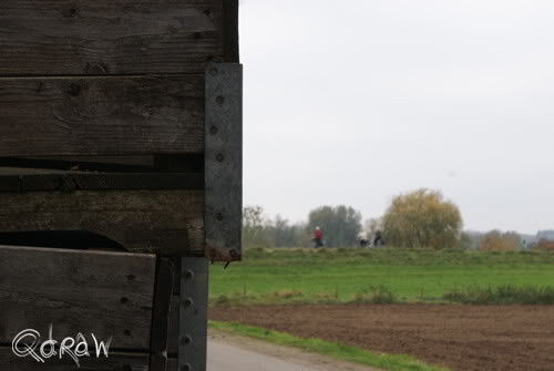 Wilp/Voorsterklei in de herfst
