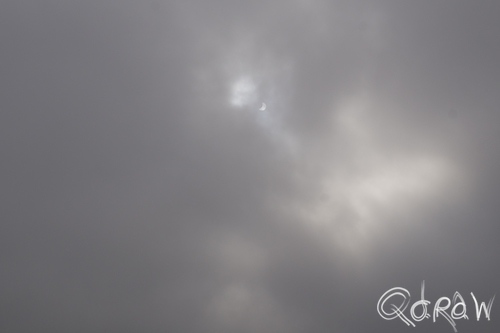 Zonsverduistering Schokland 2015 ; Middelbuurt, zonsverduistering, eclipse, flevoland, schokland | foto 2