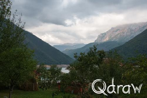 Balkan roadtrip dag 2: Pivameer (Montenegro) (2026), Guesthouse Zveno, perenbomen, Zveno, uitzicht, Guesthouse
