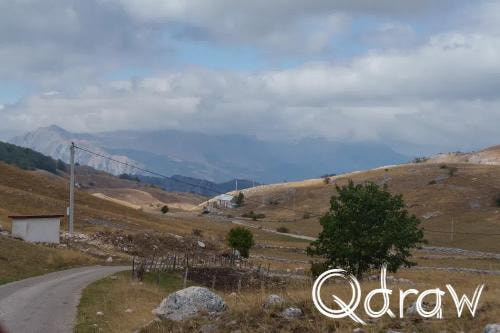 Balkan roadtrip dag 2: Pivameer (Montenegro) (2026), Buizerd - Seljkovac, Buizerd, Seljkovac, telefoonmast, Pivska Planina, bergen