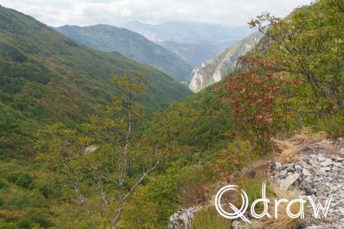 Balkan roadtrip dag 2: Pivameer (Montenegro) (2026), Boričje, Boricje, vallei, bomen