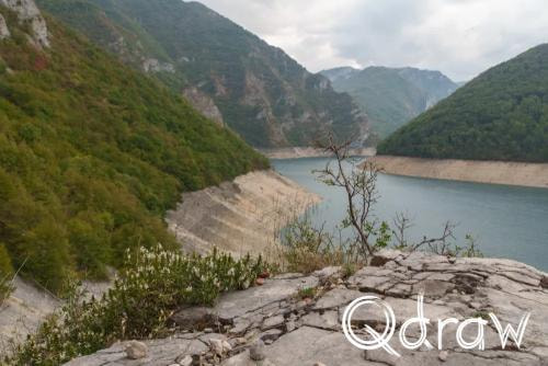 Balkan roadtrip dag 2: Pivameer (Montenegro) (2026), Bergbonenkruid, Grede, Piva, bergen, Bergbonenkruid
