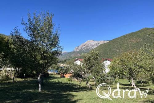 Balkan roadtrip dag 3: van Pluzine naar Sarajevo (2026), Zvono, Zvono, roadtrip, boomgaard