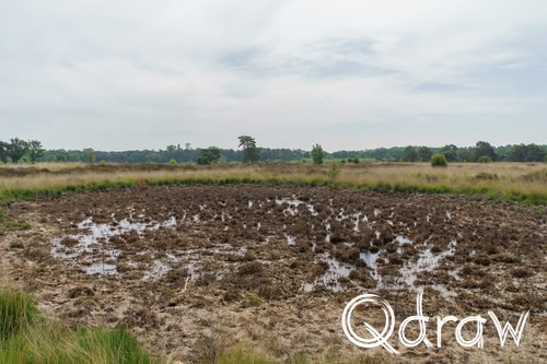 De Malpie en Plateaux-Hageven tijdens het Brabants Vennenpad
