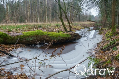 Etappe 11a van Meijel naar Neer 