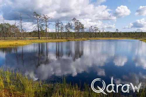 Estlandse hikingroute van Aegviidu naar Võsu