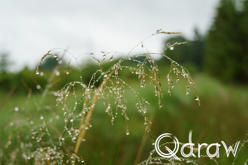 Hoge Ardennenroute Dag 8 van Bihain naar Achouffe 2025