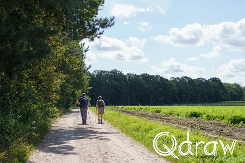 Pieterpad in beeld