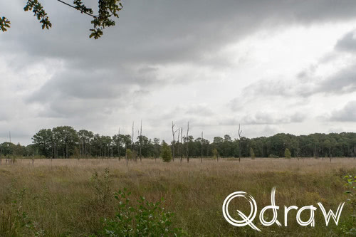 Appelbergen (Glimmen)