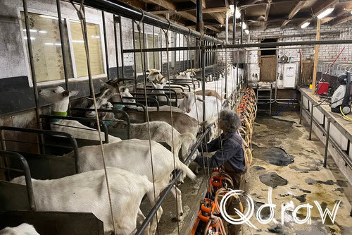 Logement Tussen de Geiten