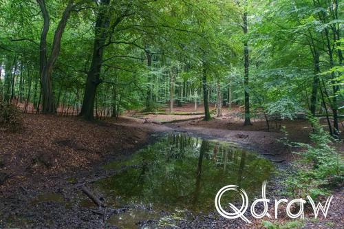 Veluwe Zwerfpad Etappe 13 van Hoog Soeren naar Kootwijk (2026) ; Pomphul - Hoog Soeren ; Etappe 13, Pomphul, Veluwe Zwerfpad
