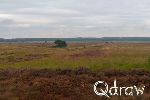 Veluwe Zwerfpad Etappe 13 van Hoog Soeren naar Kootwijk (2026) ; Heide - Asselt ; Etappe 13, Pomphulweg, Heide, Asselt, Veluwe Zwerfpad