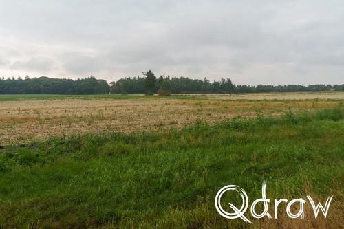 Veluwe Zwerfpad Etappe 13 van Hoog Soeren naar Kootwijk (2026) ; Halte Asselt ; Etappe 13, Halte Asselt, Veluwe Zwerfpad
