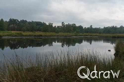Veluwe Zwerfpad Etappe 13 van Hoog Soeren naar Kootwijk (2026) ; Kootwijkerveen ; Etappe 13, Kootwijkerveen, water, Veluwe Zwerfpad