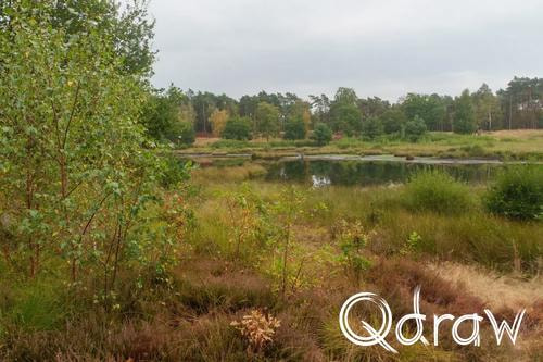 Veluwe Zwerfpad Etappe 13 van Hoog Soeren naar Kootwijk (2026) ; Kootwijkerveen ; Etappe 13, Kootwijkerveen, water, Veluwe Zwerfpad