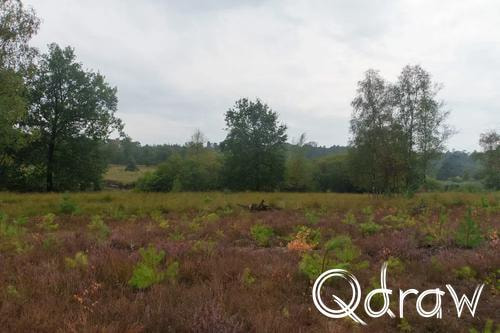 Veluwe Zwerfpad Etappe 13 van Hoog Soeren naar Kootwijk (2026) ; Kootwijkerveen ; Etappe 13, Kootwijkerveen, Veluwe Zwerfpad
