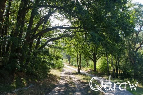 Veluwe Zwerfpad Etappe 13 van Hoog Soeren naar Kootwijk (2026) ; Kruisselse weg richting Kootwijk ; zandpad, fietspad, Kruisselse weg, Veluwe Zwerfpad, Etappe 13