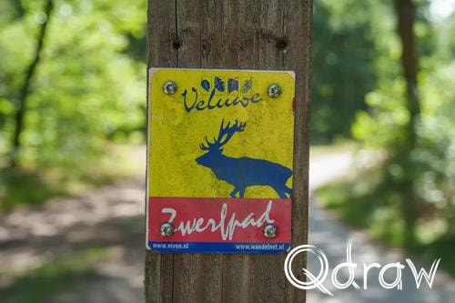Veluwe Zwerfpad Etappe 13 van Hoog Soeren naar Kootwijk (2026) ; Markering Veluwe Zwerfpad ; Veluwe Zwerfpad, markering, Etappe 13