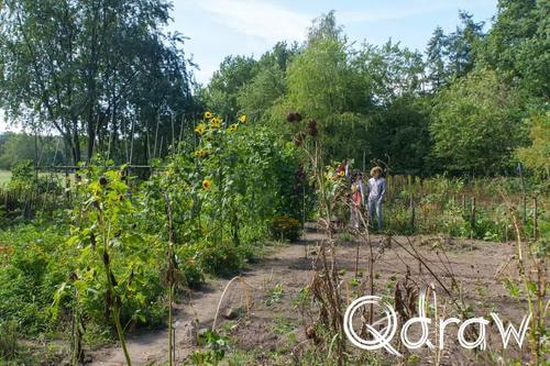Veluwe Zwerfpad Etappe 14 van Kootwijk naar Hoenderloo (2026), Moestuin Kootwijk, moestuin, Kootwijk, Veluwe Zwerfpad, Etappe 14