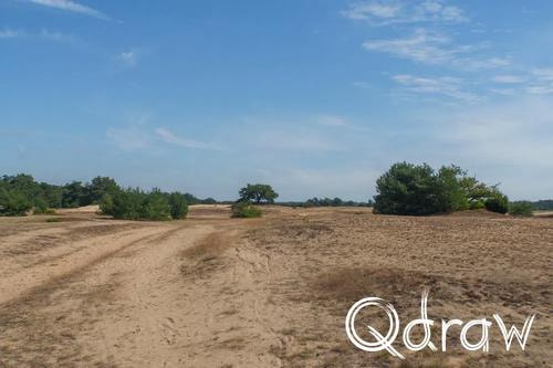 Veluwe Zwerfpad Etappe 14 van Kootwijk naar Hoenderloo (2026), Kootwijkerzand, zandverstuiving, Kootwijkerzand, Veluwe Zwerfpad, Etappe 14