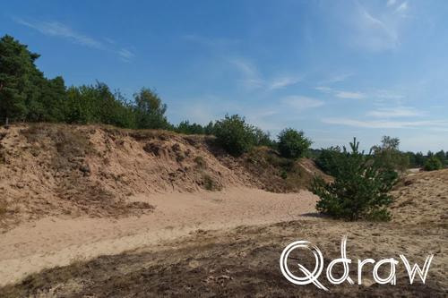 Veluwe Zwerfpad Etappe 14 van Kootwijk naar Hoenderloo (2026), Kootwijkerzand, zandverstuiving, Kootwijkerzand, Veluwe Zwerfpad, Etappe 14