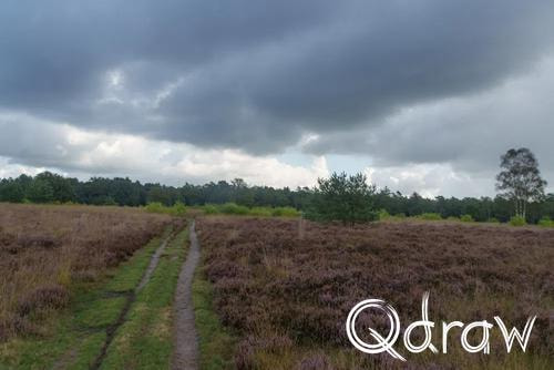 Veluwe Zwerfpad Etappe 15 van Hoenderloo naar Loenen (2026), Miggelenbergweg, regen, heide, Miggelenbergweg, Veluwe Zwerfpad, Etappe 15