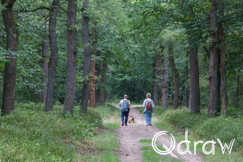 Veluwe Zwerfpad Etappe 15 van Hoenderloo naar Loenen (2026), Varenna, Wandelaars, hond, Varenna, man, vrouw, bos, Veluwe Zwerfpad, Etappe 15