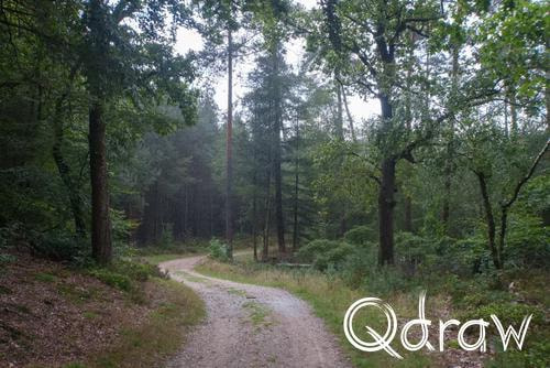 Veluwe Zwerfpad Etappe 15 van Hoenderloo naar Loenen (2026), Varenna, Varenna, Woeste hoeve, bosweg, Veluwe Zwerfpad, Etappe 15
