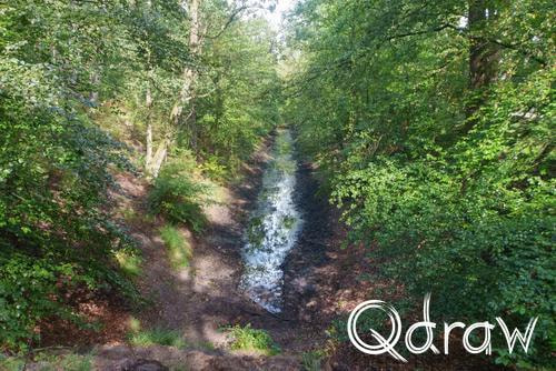 Veluwe Zwerfpad Etappe 15 van Hoenderloo naar Loenen (2026), Vrijenberger spreng, Vrijenberger spreng, Veluwe Zwerfpad, Etappe 15, water, beek, spreng