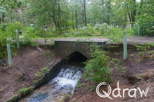 Veluwe Zwerfpad Etappe 15 van Hoenderloo naar Loenen (2026), Vrijenberger spreng, Vrijenberger spreng, Veluwe Zwerfpad, Etappe 15, water