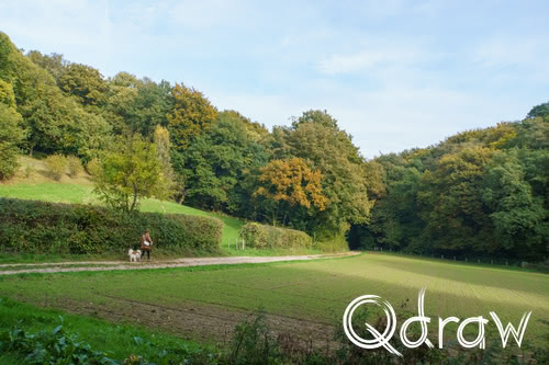 Zevenheuvelenwandeling door het Rijk van Nijmegen