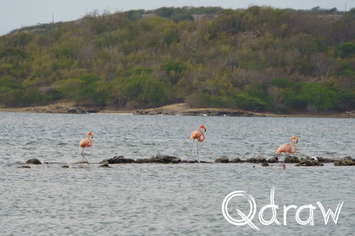 Zoutpannen Jan Thiel